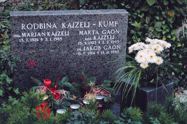 Grob znanega bosanskega epidemiologa dr. Jakoba Gaona, prof. na sarajevski medicinski fakulteti in akademika ANUBiH. Med obleganjem Sarajeva se je z družino (žena je bila Slovenka) zatekel v Ljubljano, kjer je bil tudi pokopan.