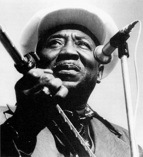 Muddy Waters