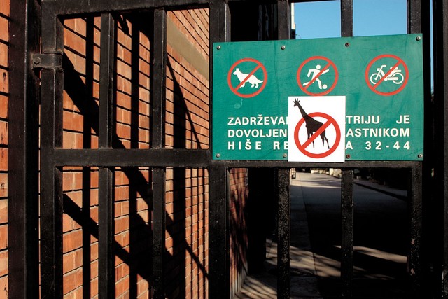 Žirafam vstop prepovedan