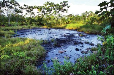 Ena izmed skoraj tisoč odprtih toksičnih jam, ki jih je naftno podjetje Texaco pustilo za seboj v amazonskem predelu Ekvadorja.