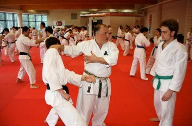 Makotokai karate je po dolgih učnih urah študija tradicionalnih karate tehnik, ki izvirajo z otoka Okinawa, izumil učitelj in sensei ter eden najboljših svetovnih karateistov Paolo Bolaffio iz Trsta
