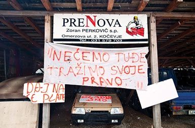 /media/www/slike.old/novice/koevje_b520100304_1506.jpg