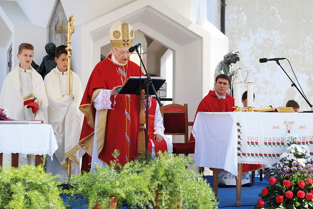 Kardinal Franc Rode med pridigo v Šentjoštu nad Horjulom 