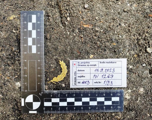 Najdeni del broške, ki so jo med izkopavanjem odkrili arheologi