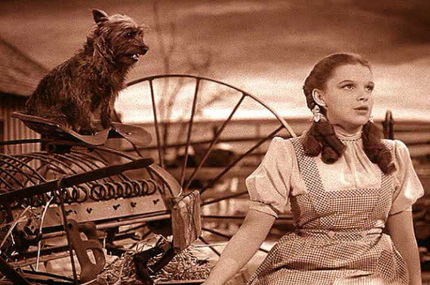 Dorothy in Toto. Prizor iz filma Čarovnik iz Oza (1939).