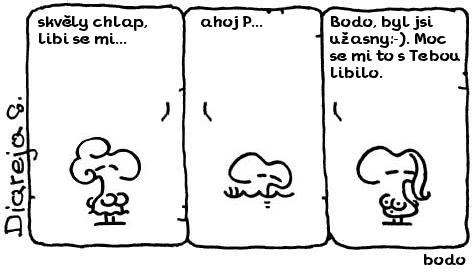 bodo