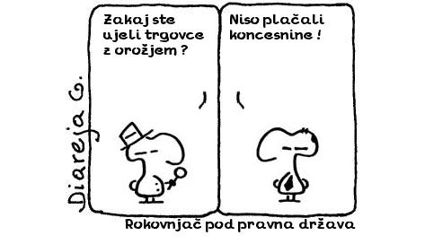 Rokovnjač pod pravna država