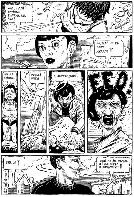 | © D. Mraz, Kociper