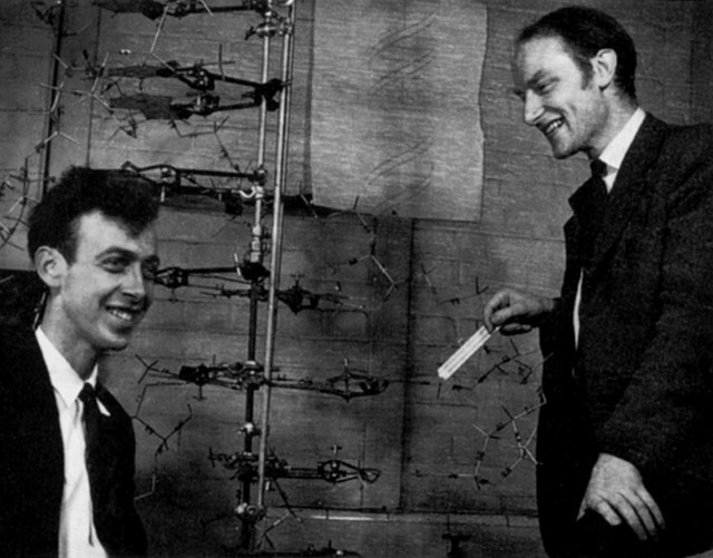 James Watson in Francis Crick z modelom dvojne vijačnice