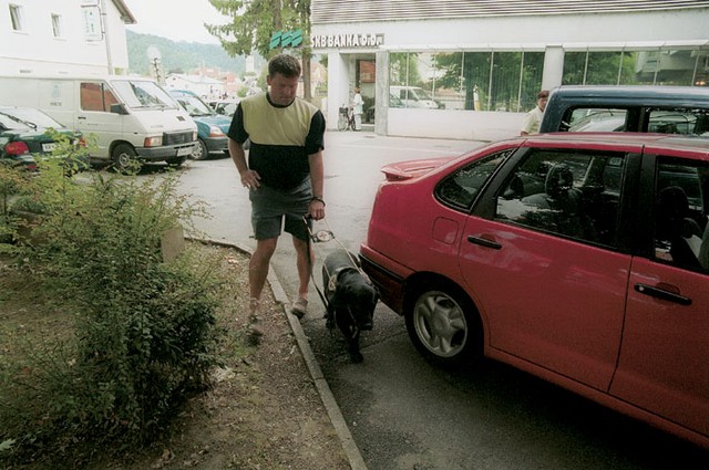 Lola varuje lastnika pred avtomobili, stopnicami in robniki