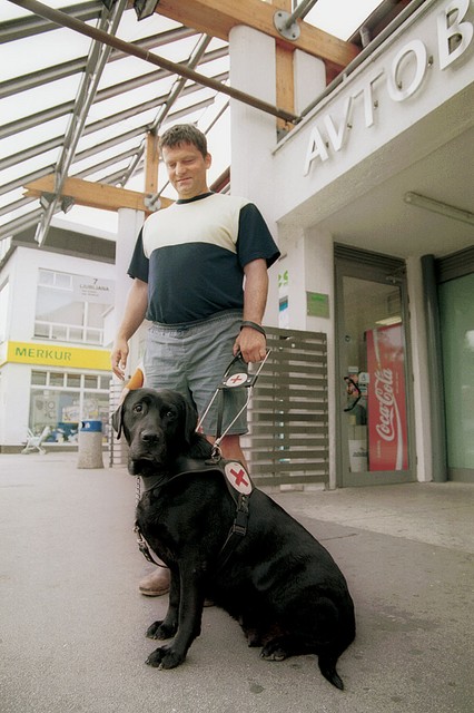 Ko bo prišel avtobus, bo Lola lastniku nakazala vrata in kasneje prost sedež