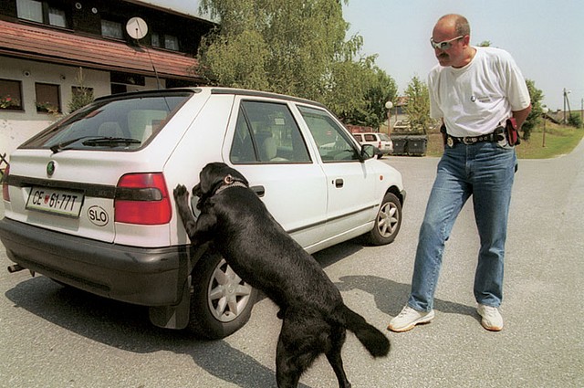  S praskanjem je nakazal vodniku, kje je zavojček
