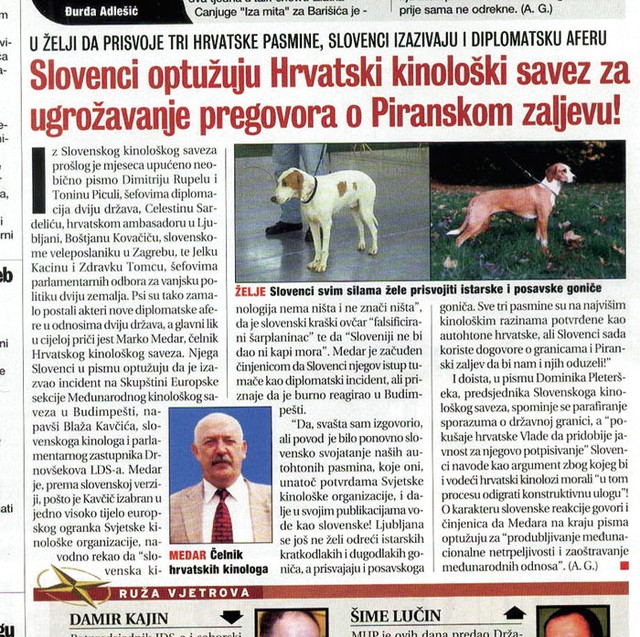 Slovensko-hrvaška kinološka vojna