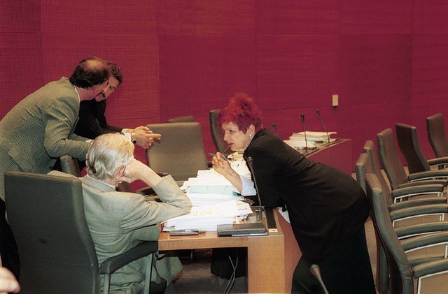 Majda Širca za določen čas
