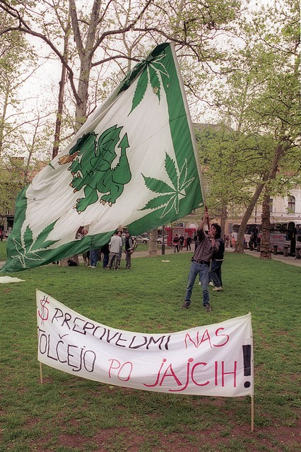 Zeleni zmaj 'ma mlade