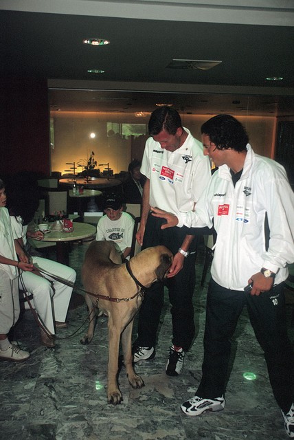 Za spor naj bi bil kriv novinar?