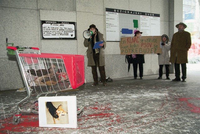 Demonstracije AC Molotova pred ministrstvom za kmetijstvo