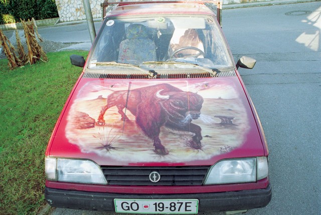 Zidarski bizon