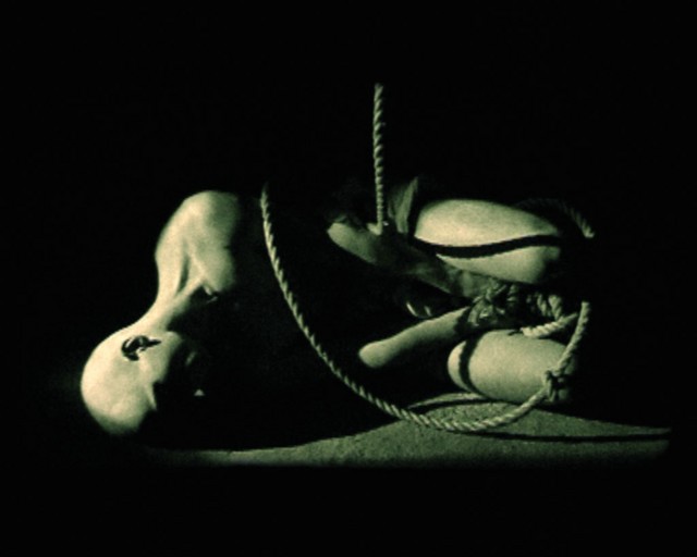 Noctiferia - Fond of lies