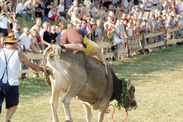 Rodeo 1