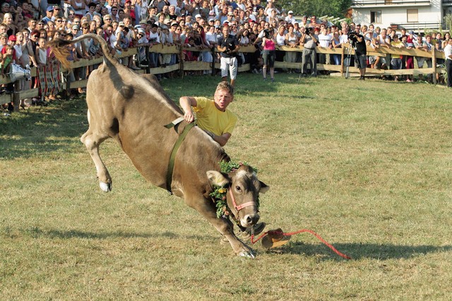 Rodeo 2