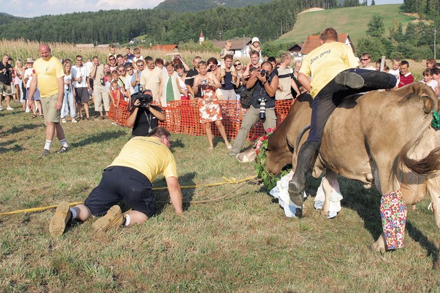 Moledovanje par stopinj pred ciljno črto