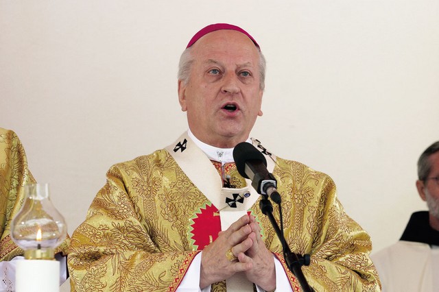 Nadškof Franc Rode med letošnjo brezjansko pridigo