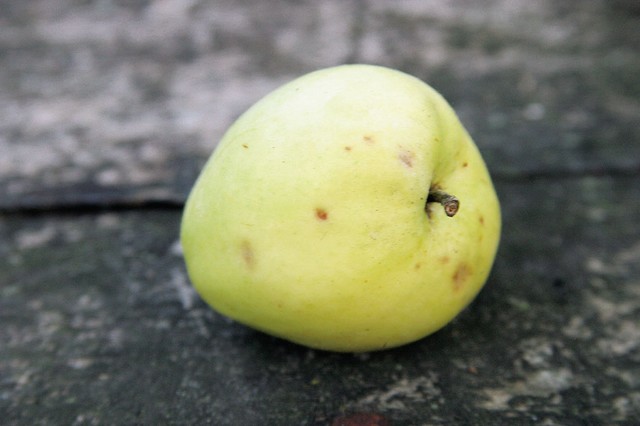 Špičke
