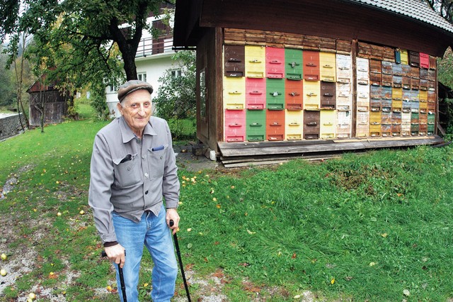 lovenija je premajhna za čebele, trdijo Ingliči