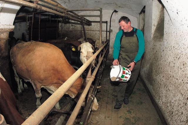 Štefan Inglič otrok ne namerava usmerjati v kmetijstvo