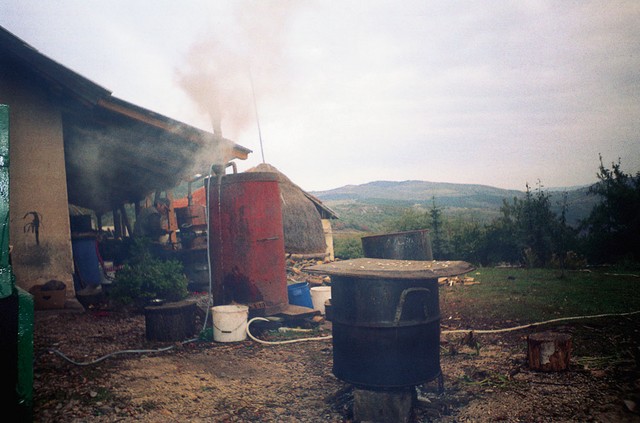 Pečenje drekovca