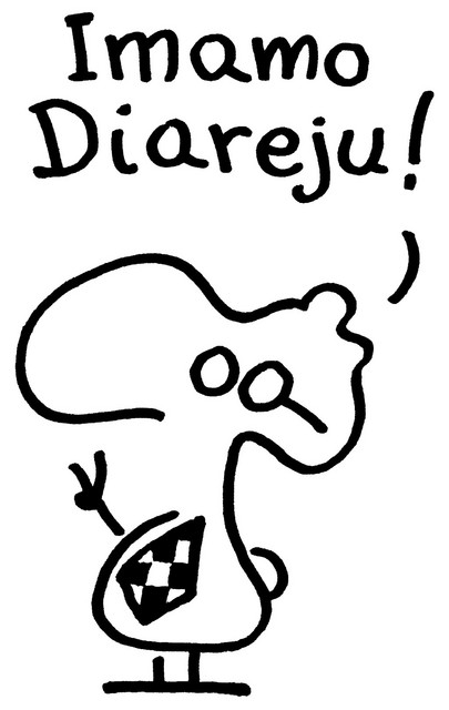 Imidž Diarejine razstave