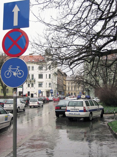 Nujna policijska naloga