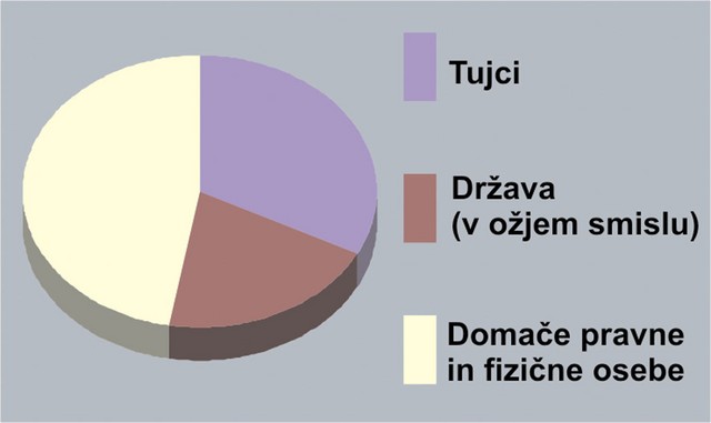 Lastniška struktura slovenskega bančnega sektorja na dan 31. 12. 2003 (v odstotkih)