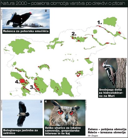 Natura 2000 - posebna območja varstva po direktivi o pticah