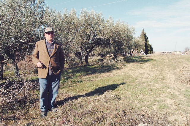 Družina Pištan naj bi imela pred selitvijo v Italijo v lasti 15 hektarjev kmetijskih zemljišč. Med zemljišči, ki jih želi nazaj Viktor Pištan, je tudi njiva, ki jo že leta obdeluje Adrijan Špeh iz Sv. Petra. Ta je Občini Piran dolgo plačeval najemnino za njeno uporabo.