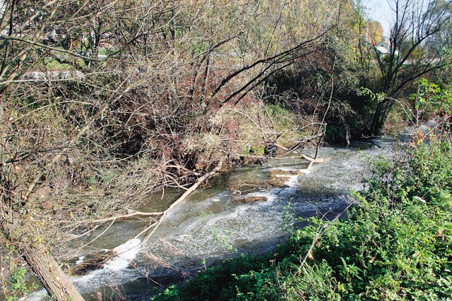 Edina prava in prepričljiva greznica v bližini županove hiše je rečica Voglajna