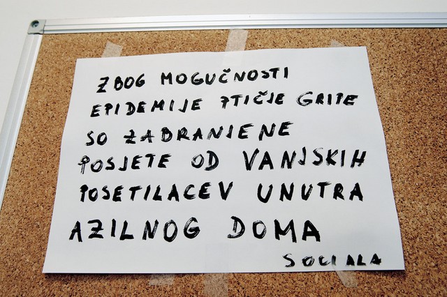 Ukrepi zaradi ptičje gripe v 'nam tujem' jeziku. Na MNZ so še prejšnji teden zanikali, da omejujejo obiske zaradi ptičje gripe.