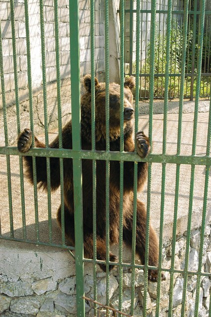 Privatni ZOO
