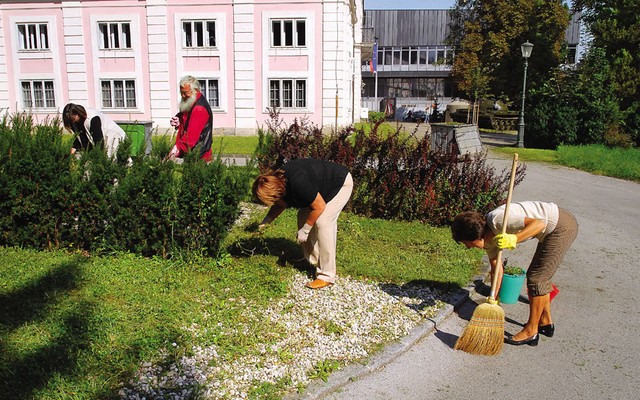 Akcija brez direktorja
