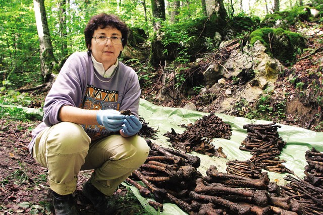 Arheologinja dr. Petra Leben Seljak pred kostmi