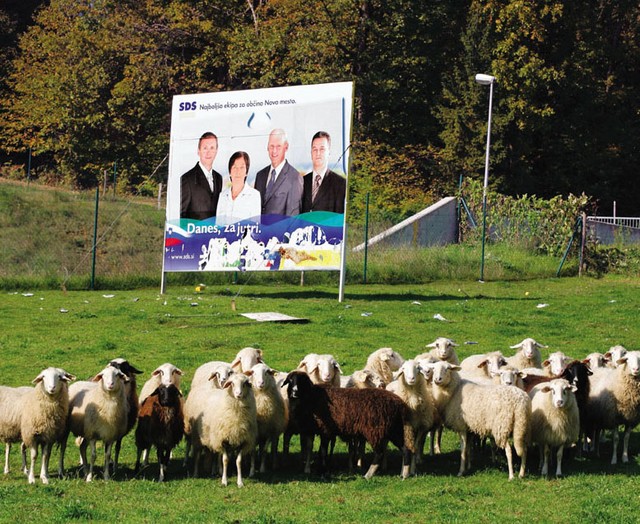 Predvolilna kampanja za lokalne volitve 2006
