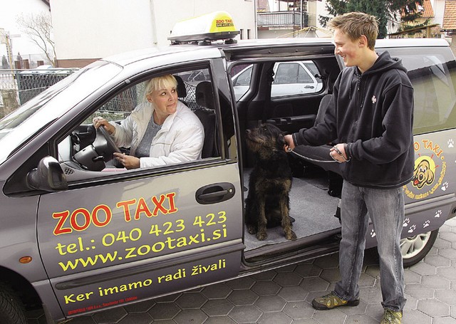Zoo taxi
