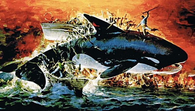 Orca - kit ubijalec