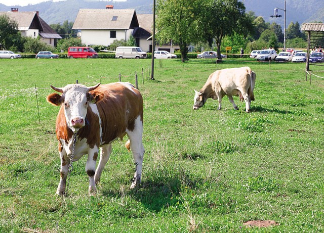 Proizvajalke toplogrednih plinov