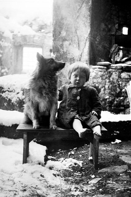 Zvesta žival je malo Marico, ki se je rodila v taborišču na otoku Rabu, pričakala na ruševinah njene domačije. Papeži na Kočevskem, 1945.