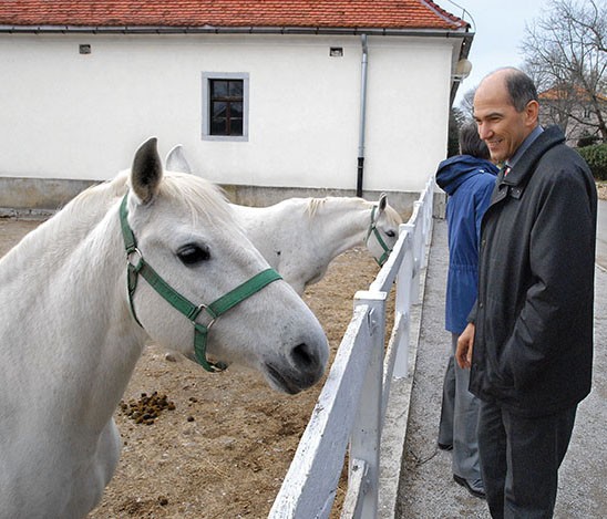 Vlada Janeza Janše je najprej sprejela program, pri katerem bi časovno omejila prodaje najpomembnejših podjetij v državni lasti. Nato je sledil obrat: zdaj rok ni več ekonomski, ampak političen: deleže v teh podjetjih se je vlada odločila prodati do konca tega mandata.