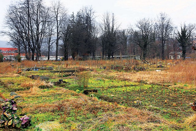 Pozabljeni spomeniško varovani park