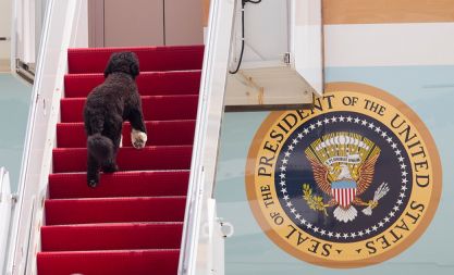 Prvi pes ZDA na rdečem tepihu v prvo letalo ZDA Air Force One