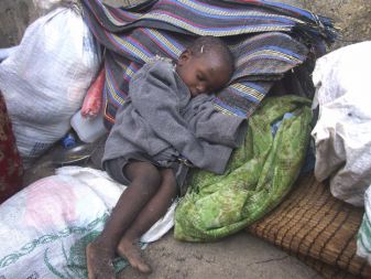 Somalijci se iz juga države, ki ga je suša najbolj prizadela, množično selijo v Mogadiš